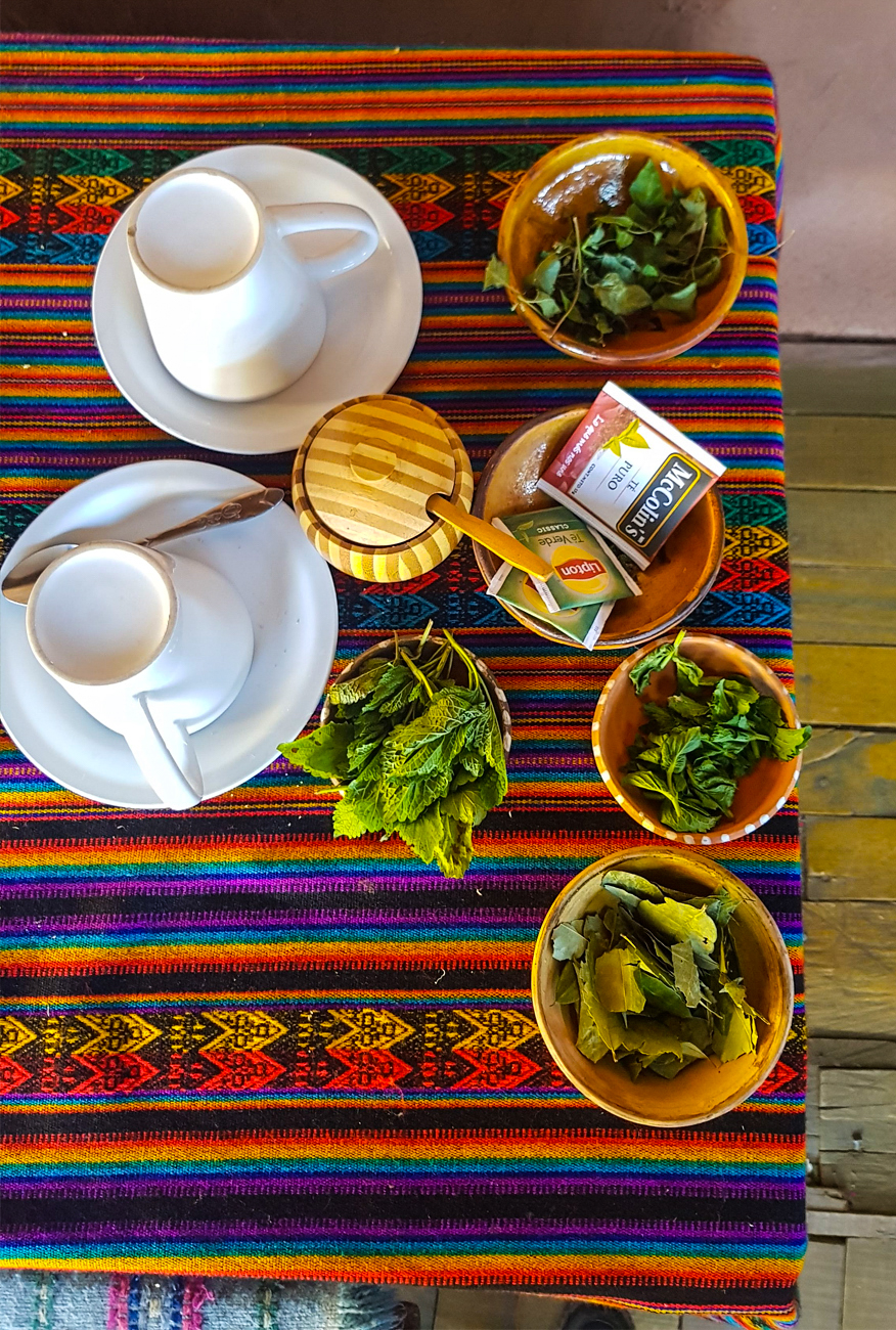 alt="Coca leaves and mint laid out on a vibrant table cloth with tea cups in Peru"