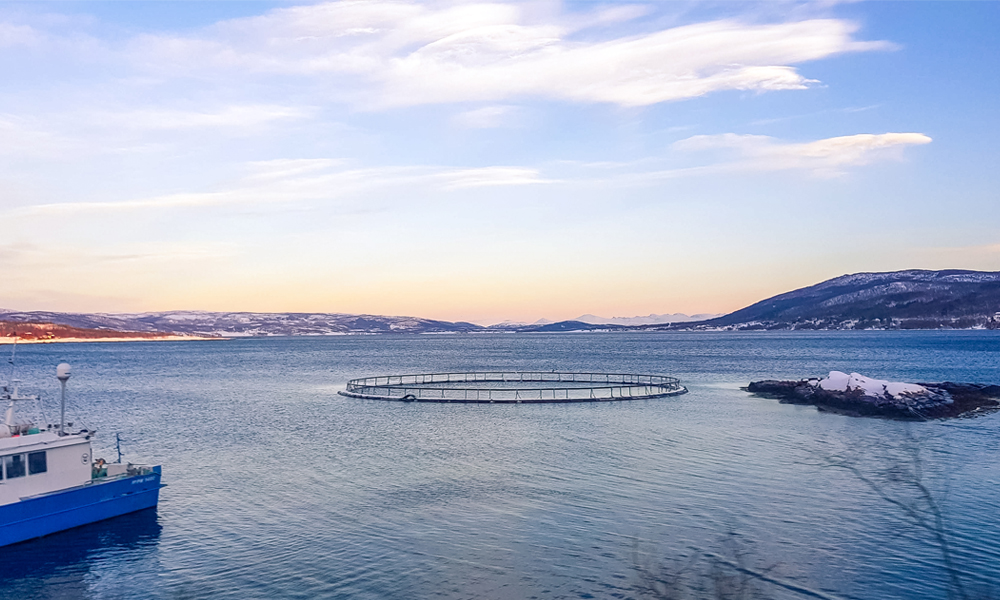 alt=“Salmon farm with sunset behind in Northern Norway”