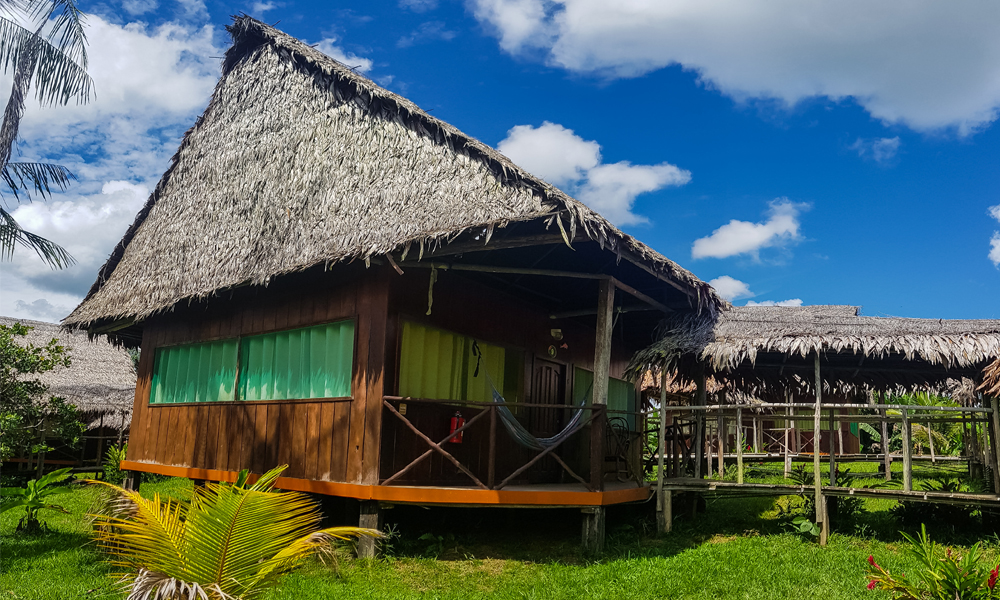 alt=“Amazon Rainforest Lodge cabin with straw roof and green windows with hammock outside”