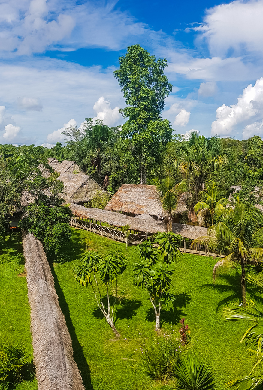 alt=“Amazon Rainforest Lodge view of straw huts and walkway with jungle scenery”