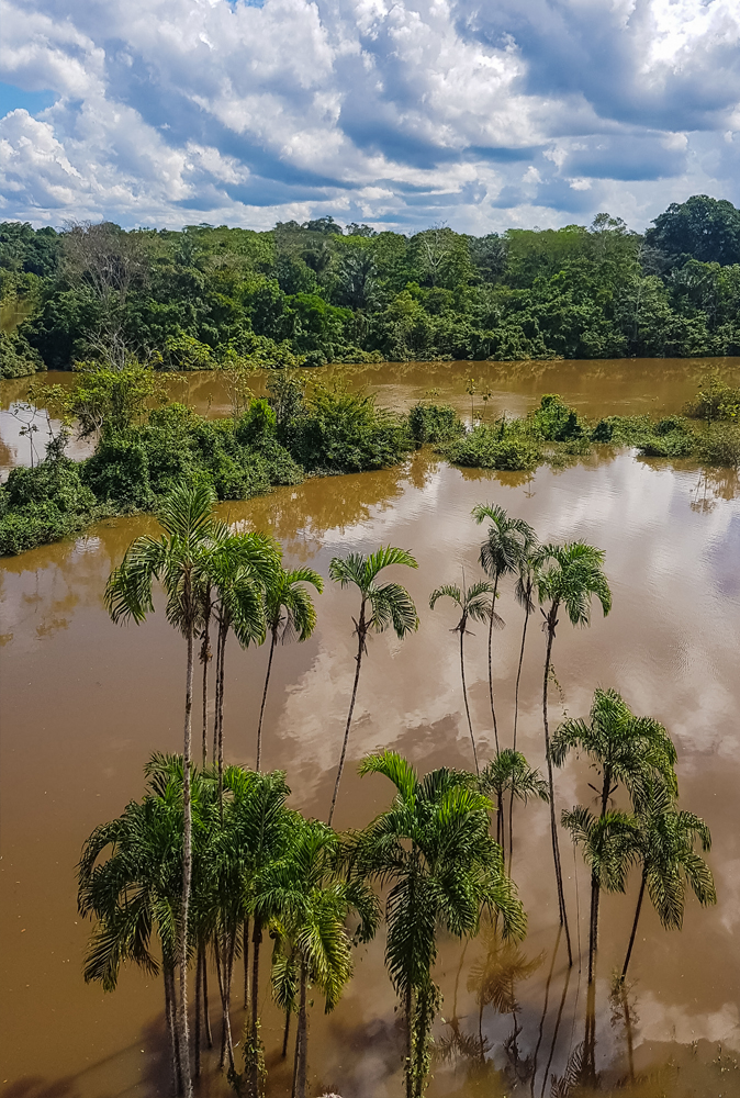 alt=“Amazon Rainforest Lodge view of Amazon river with jungle scenery as a backdrop”