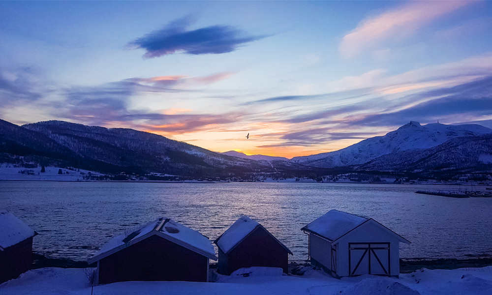alt=“Sunset over the lake with bird flying in the centre in Gibostad town, Northern Norway”