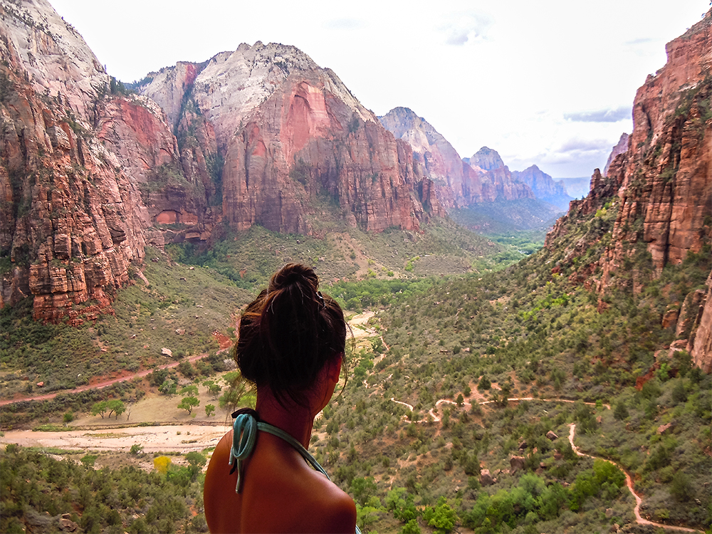 alt=“cam-paper-pelicans-zion-national-park”