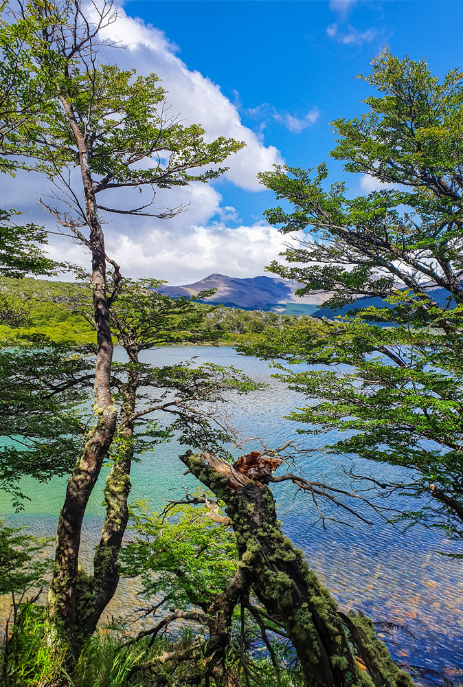 alt=“mount-fitzroy-lake-patagonia”