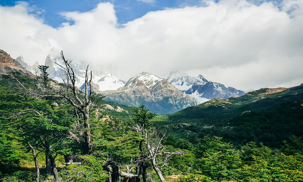 alt=“mount-fitzroy-view-patagonia”