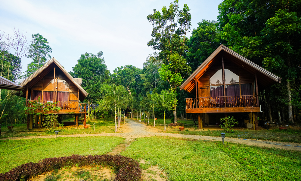alt=“Two cabanas with balcony facing river and jungle backdrop at Kandy Cabana Eco Resort”