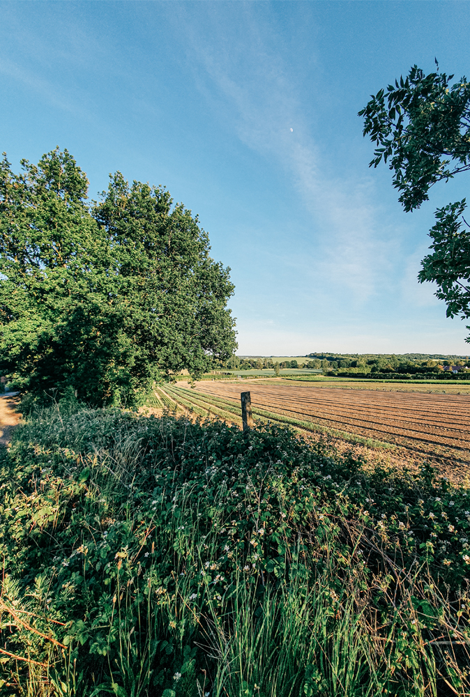 alt=“bekesbourne-station-open-field.jpg”