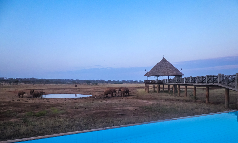 alt=“tsavo-east-elephant-watering-hole”